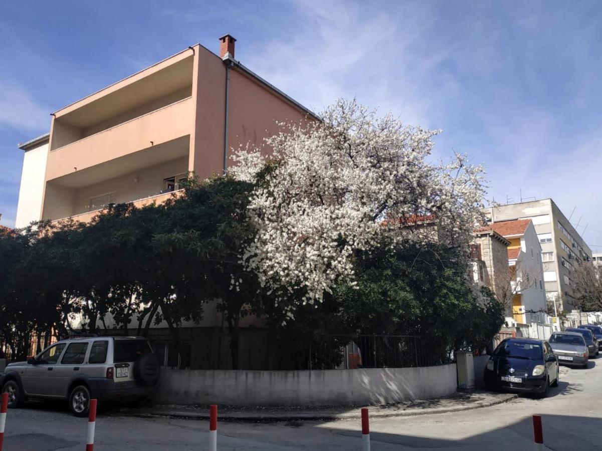 Split Symphony Garden: Modern, New Apartment Exterior foto