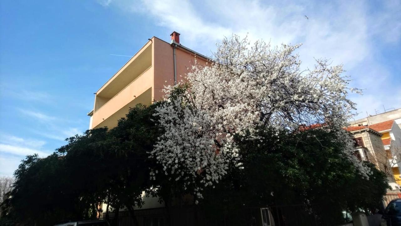 Split Symphony Garden: Modern, New Apartment Exterior foto